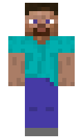 steve minecraft licencja DUE